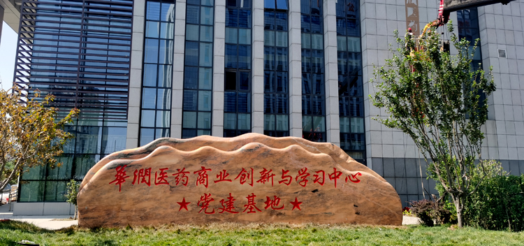 华润集团党建基地AVC系统建设