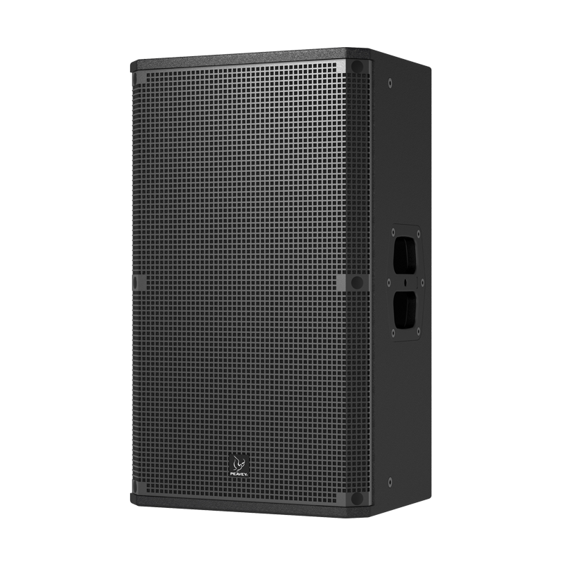 PEAVEY/Lark 12
